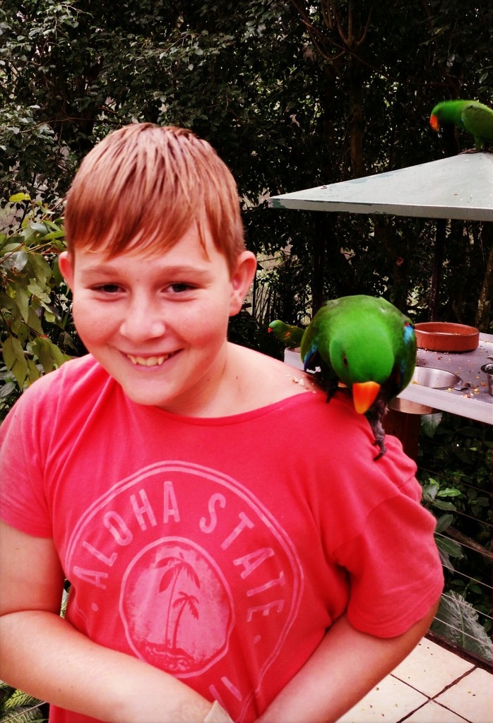 Ezrah with Parrot at Birdworld 2