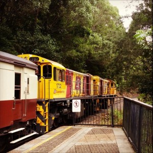 Tan Kuranda Rail at Barron Falls 2