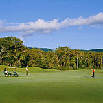 A Days Golf