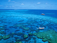 Great Barrier Reef
