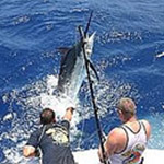 Reef Fishing