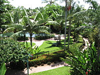 Tropical Gardens