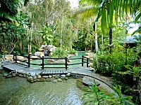 Beatiful Gardens to Stroll Around Beatiful Gardens to Stroll Around