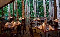 Paperbark Restaurant Paperbark Restaurant