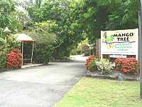 At the Mango Tree Entrance At the Mango Tree Entrance