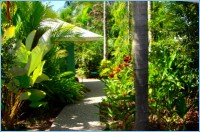 Tropical Gardens Tropical Gardens