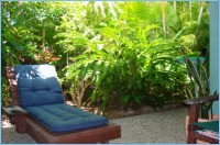 Relax in the Tropical Gardens Relax in the Tropical Gardens