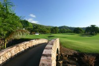 World Class Golf Course at Paradise Palms Country Club World Class Golf Course at Paradise Palms Country Club