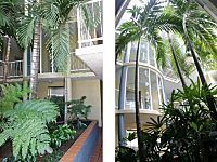Tropical Gardens Tropical Gardens