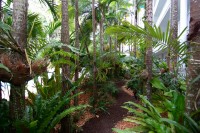 Tropical Gardens Tropical Gardens