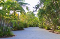 Welcome to Clifton Palms Tropical North Queensland Australia... Welcome to Clifton Palms Tropical North Queensland Australia...
