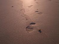 Come and put your Footprints in the Sand