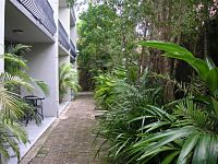Tropical Gardens Tropical Gardens