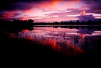 Clancy's Lagoon