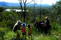 Wildlife Walks