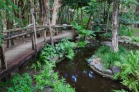 Lovely Tropical Gardens and Ponds through the grounds Lovely Tropical Gardens and Ponds through the grounds