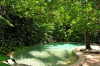 Tropical Swimming Pool Tropical Swimming Pool
