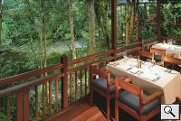 Treehouse Restaurant Treehouse Restaurant