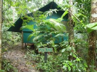 Daintree Crocodylus Village Daintree Crocodylus Village