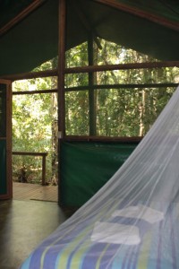 Daintree Crocodylus Tropical Cabin Daintree Crocodylus Tropical Cabin