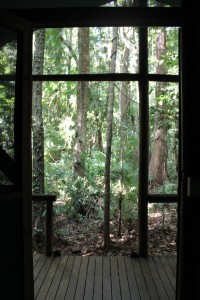 Daintree Crocodylus Cabins View Daintree Crocodylus Cabins View