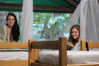 Daintree Crocodylus Share Dorm Daintree Crocodylus Share Dorm