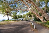 Williams Esplanade Palm Cove