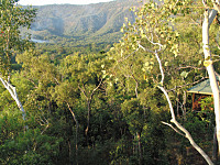 Natural Rainforest Setting Natural Rainforest Setting