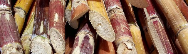 Sugar Cane stacked