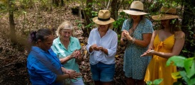 Aboriginal tours Cairns