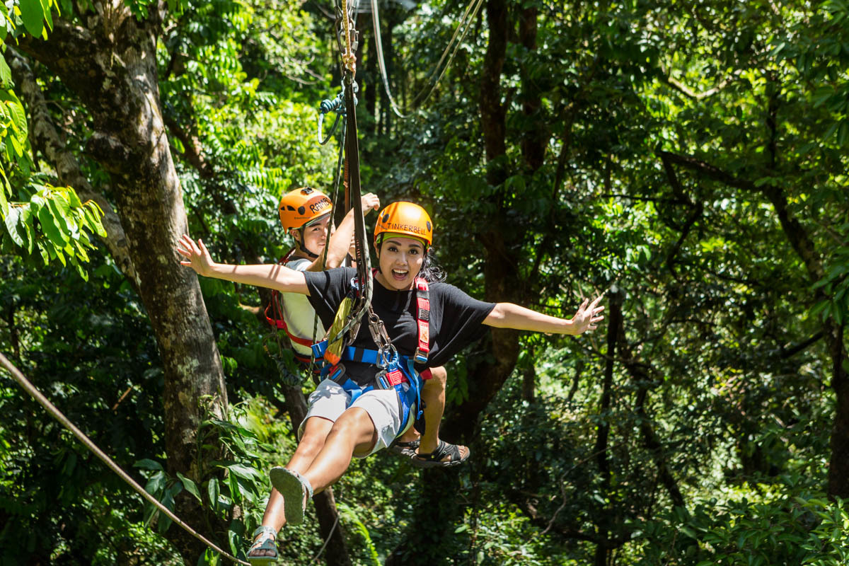 Cairns Attractions Jungle Surfing Canopy Tours
