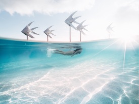 Cairns Attractions | Things To Do Things to See  | Cairns Tours | Cairns Region Guide