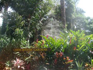 Cairns Botanical Gardens Cairns Botanical Gardens
