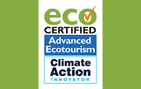Cairns Eco Tourism - Accommodation - Tours