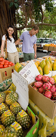 Cairns Markets | Cairns Attractions | Things to do Cairns