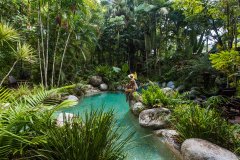 Enjoy a swim in the swimming pool amongst the tropical rainforest
