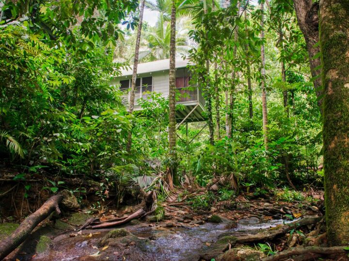 Enjoy the tranquility and privacy of the Bayans amongst the Rainforest