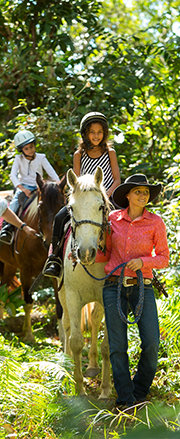 Cairns Attractions | Horse Riding Cairns | Family Attractions