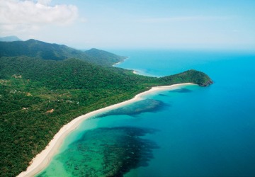 Daintree Rainforest Tours - Tour To The Daintree Cape Tribulation Region Daintree Rainforest Tours - Tour To The Daintree Cape Tribulation Region