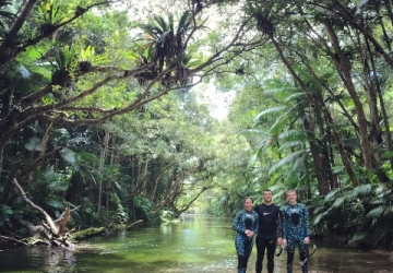 Half day small group tour port douglas Half day small group tour port douglas