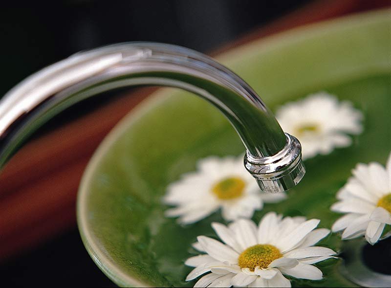 The White Lotus Day Spa