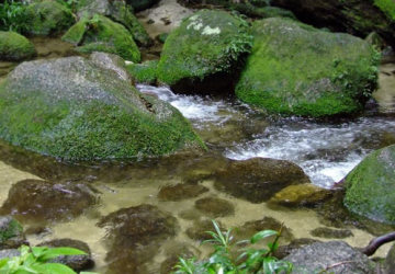 1 Day Aboriginal Cultural Tour | Visit Mossman Gorge | Crystal Clear Waters | Tropical North Queensland | Large Granite Boulders Dominating Mossman Gorge River 1 Day Aboriginal Cultural Tour | Visit Mossman Gorge | Crystal Clear Waters | Tropical North Queensland | Large Granite Boulders Dominating Mossman Gorge River