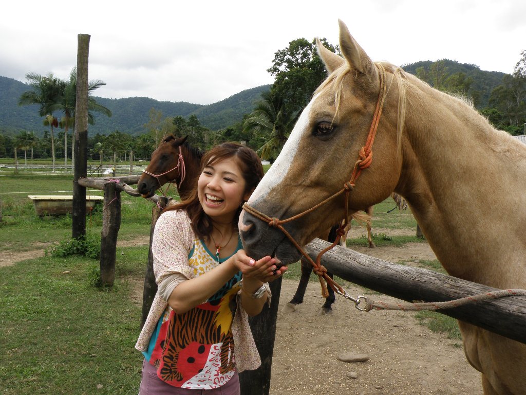 Cairns Horse Riding Tour Morning and Afternoon Half Day Horse Riding