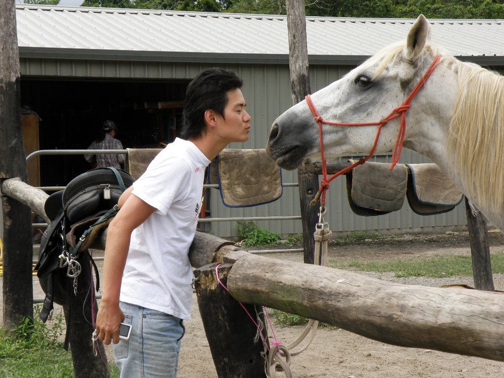 Cairns Horse Riding Tour Morning and Afternoon Half Day Horse Riding