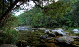 Mossman Gorge