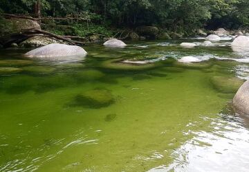 Mossman Gorge Afternoon Private Charter Mossman Gorge Afternoon Private Charter