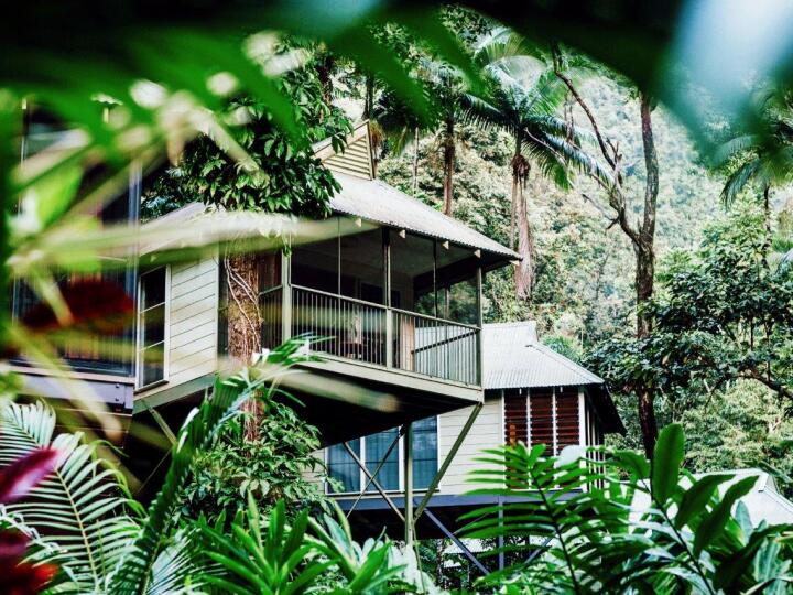 Private Tree house style accommodation amongst the Rainforest