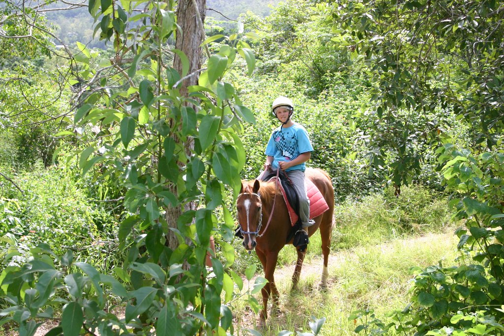 Cairns Horse Riding Tour Morning and Afternoon Half Day Horse Riding
