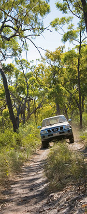 Cairns Attractions | Things To do Cairns | Self Drive