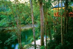 Silky Oaks Lodge | Romantic Rainforest Retreat located in Daintree National Park, a short drive from Port Douglas, Qld.